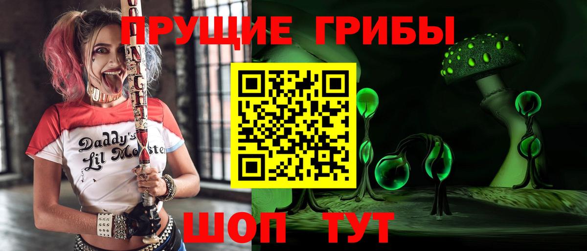 Киселёвск  Галлюциногенные грибы GOLDEN TEACHER  Вход с VPN  Галлюциногенные грибы ЛСД 