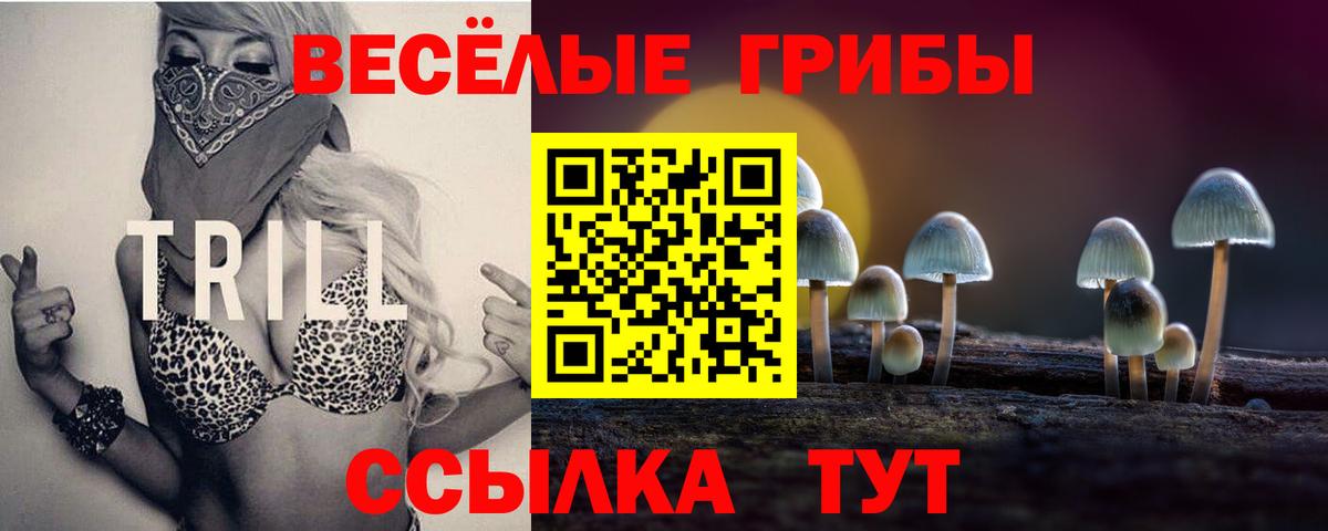 Псилоцибиновые грибы мухоморы Киселёвск